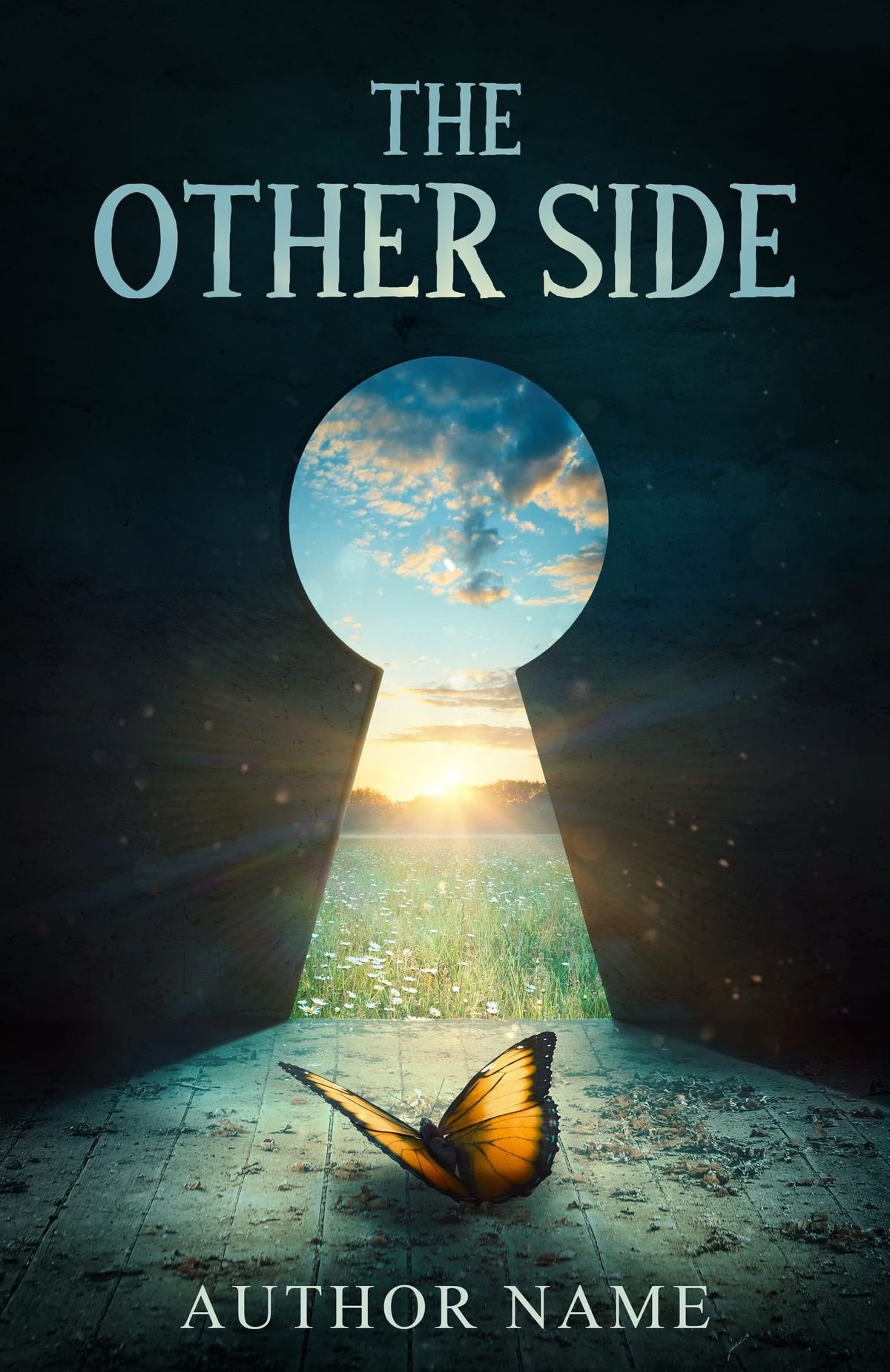Fiction book publishing portfolio